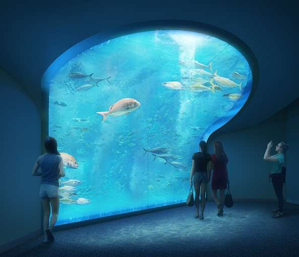 成婚カップルの多くが訪れている四国水族館！(^^♪